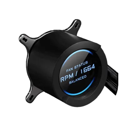 תמונה ממוזערת 4