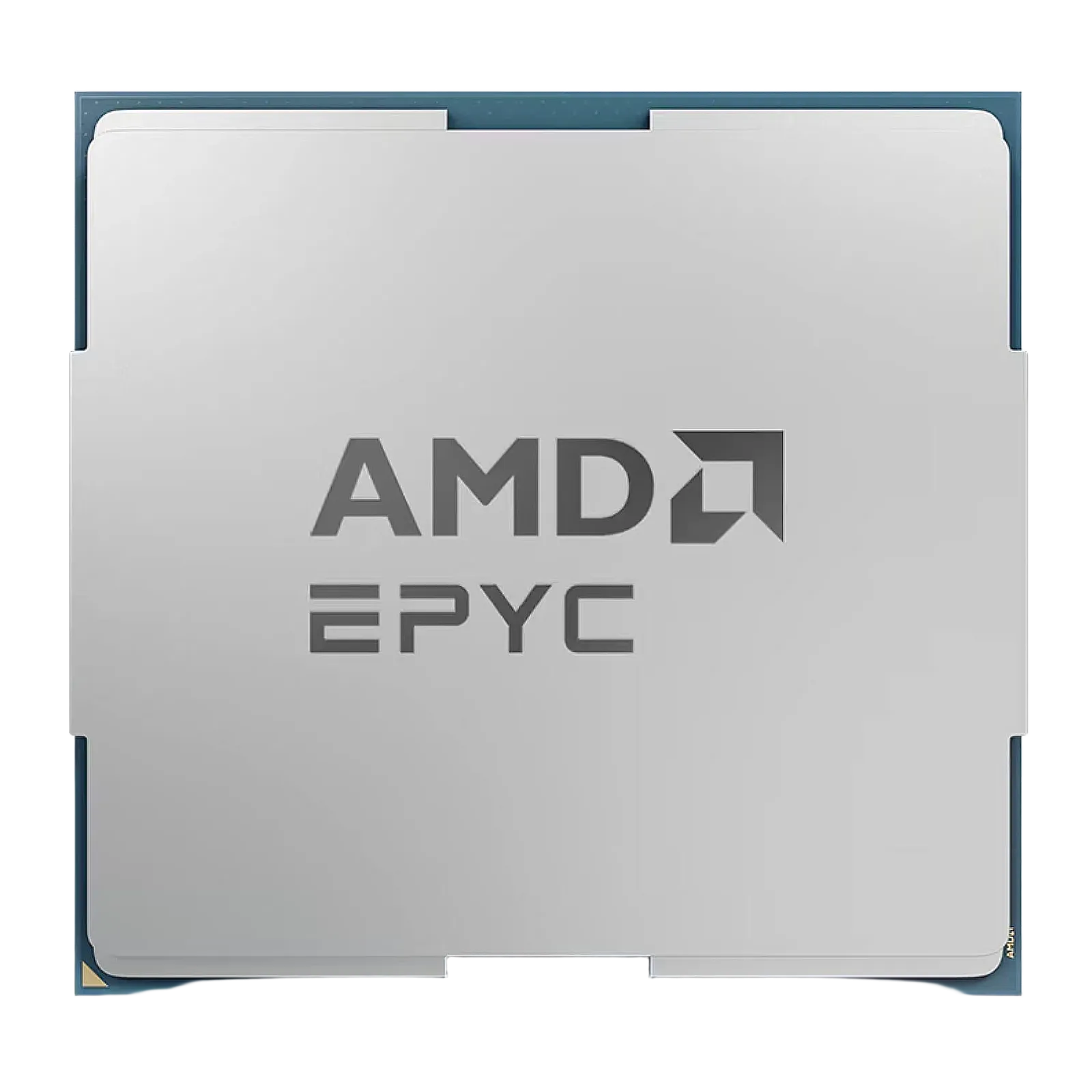 AMD EPYC 7302 16-Core (32-Threads)
