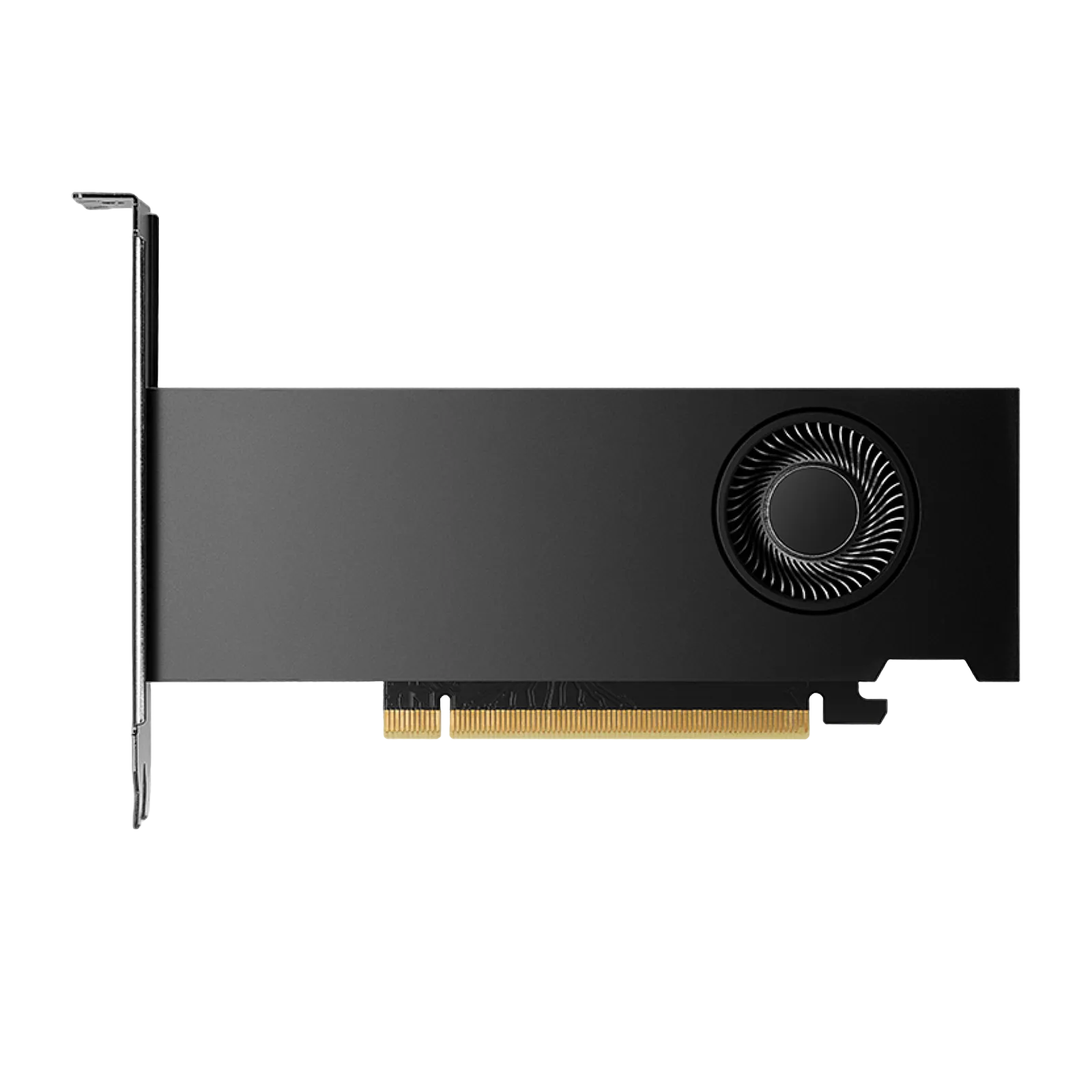 NVIDIA RTX 2000 Ada 16GB GDDR6 Graphic Card