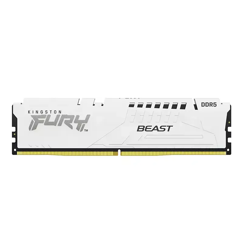 Kingston FURY Beast 16G DDR5 5600MHz CL36